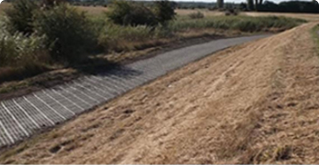 Case Study Image