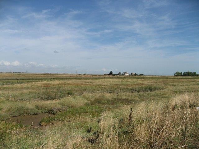 South Swale Nature Reserve Case Study