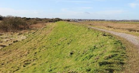 South Swale Nature Reserve Case Study
