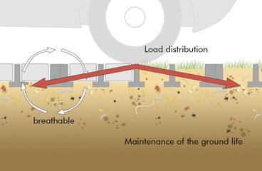 Soil Protection