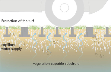 Vegetation Capability