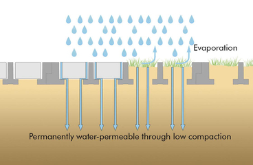 Water Balance